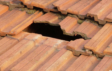 roof repair Wenallt